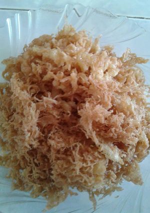 Foto resep Telor awut/abon telor