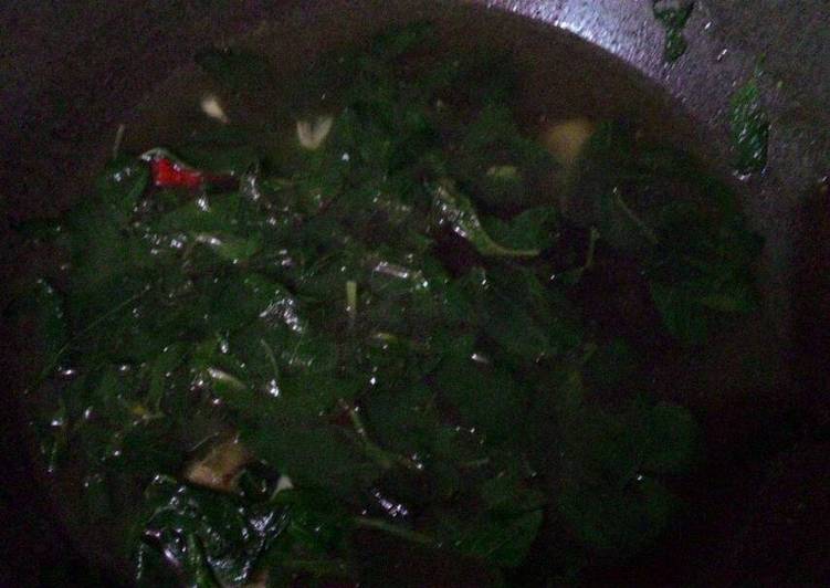 Sayur bening daun katuk