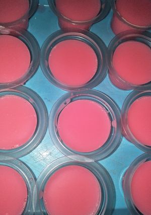 Foto resep Agar-agar susu