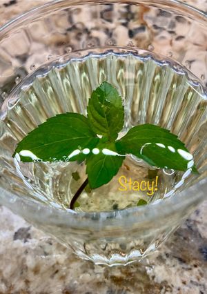 Φωτογραφία της συνταγής Τσάι Μέντας - Fresh Mint Tea!
