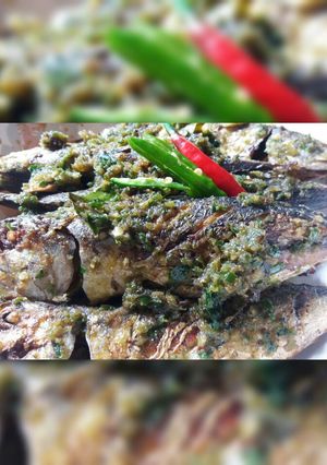 Foto resep Tongkol Mini Sambal Ijo