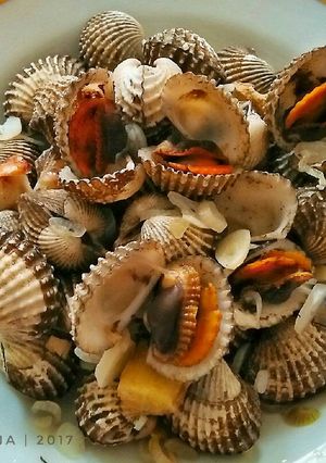 Foto resep Kerang Dara Rebus
