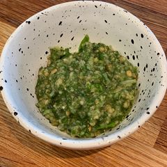 Pesto 🌱 A picture of Pesto 🌱.