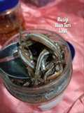 Rusip Ikan Teri Laut