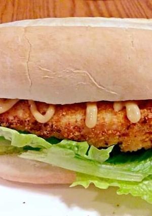 A picture of Zinger.