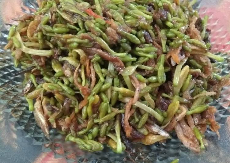 Tumis bunga pepaya/kembang kates