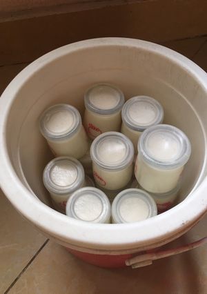 Hình của món Sữa chua dẻo.