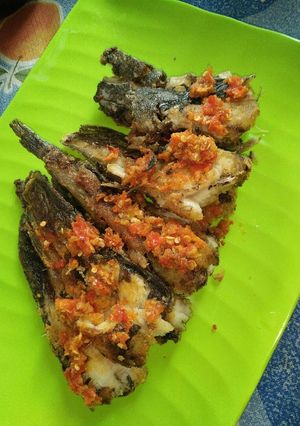 Foto resep Lele penyet sambel kencur