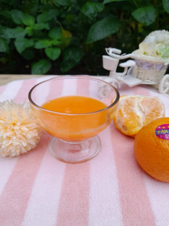Foto resep Jus Jeruk Wortel