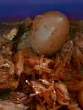 Gudeg Nangka Muda Sederhana