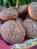 Chocolate Conchas