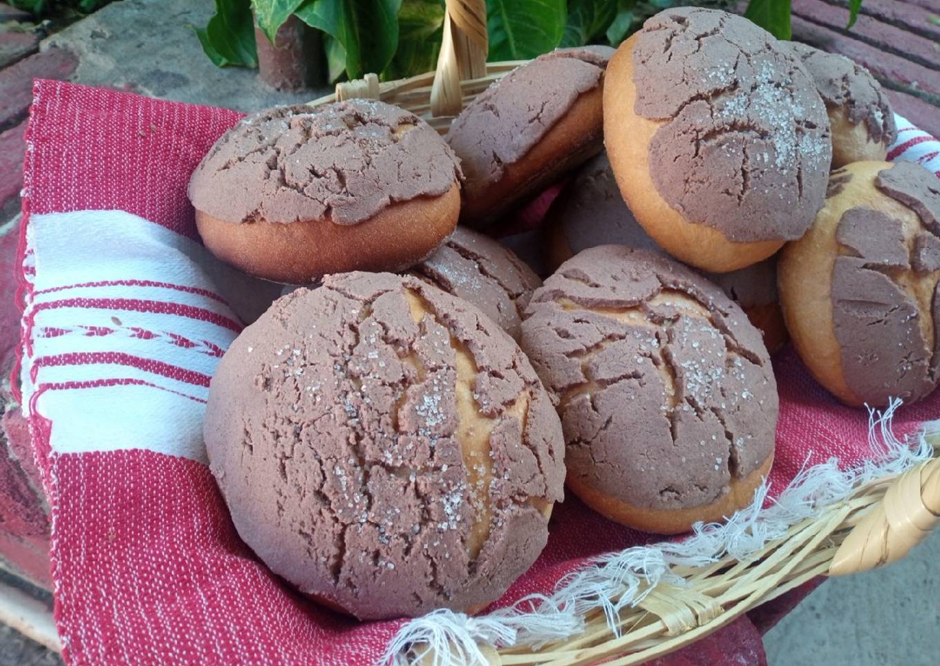 Conchas de chocolate