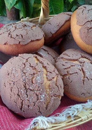 Una foto de Conchas de chocolate