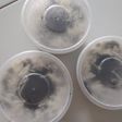 Chesse cake oreo keju