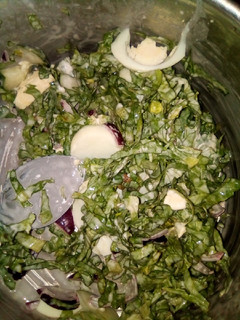 Salad ainihin hoton girkin