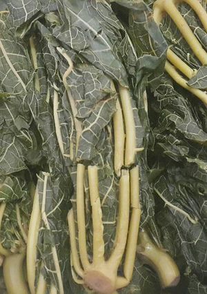 Foto resep Tumis Daun Pepaya (tidak pahit)by hitara
