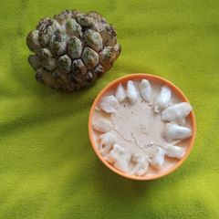 A picture of Sitaphal Basundi & Kulfi.