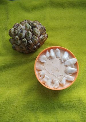 A picture of Sitaphal Basundi & Kulfi.