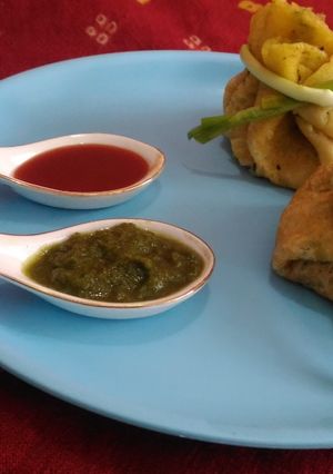 A picture of Moong dal potli.