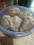 Pempek ikan teri