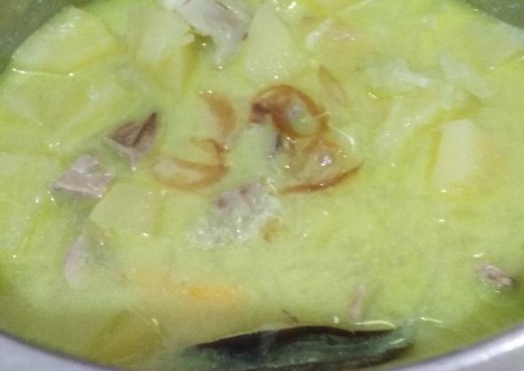MPASI 10 Bulan Lodeh ati ayam