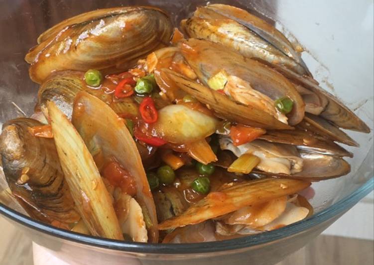Mengolah Kjing Mengolah Kijing Besar Air Tawar 14 Resep Mengolah Kjing Mengolah Kijing Besar Air Tawar 14 Resep