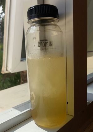 Foto resep Lemon Sereh Madu (Sprite versi Herbal)