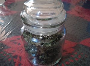 Una foto de Menta deshidratada