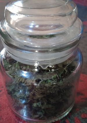 Una foto de Menta deshidratada