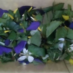 A picture of Spring Garden Herb Mix for Salads and Soups.