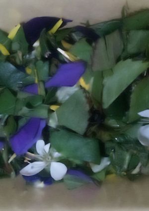 A picture of Spring Garden Herb Mix for Salads and Soups.