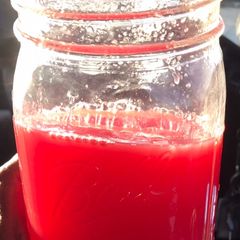 A picture of Alkaline - ”Seeded” Watermelon Juice.