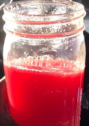 A picture of Alkaline - ”Seeded” Watermelon Juice.
