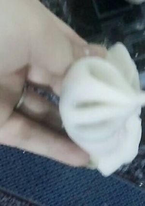 Hình của món Há cảo chay.