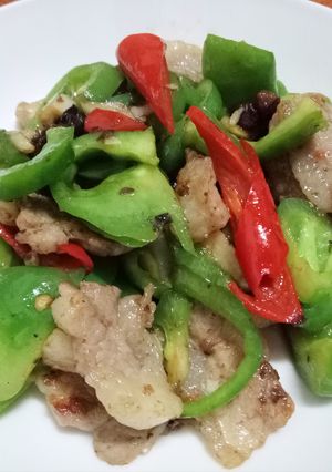 青椒炒肉片 的食譜成品照片