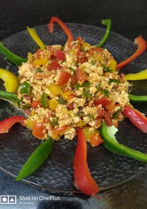 A picture of Paneer bell pepper masala.