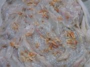 A picture of rice flour batter