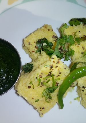 A picture of Fusion Dhokla.