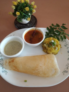 મસાલા ઢોસા (masala dosa recipe in gujarati) રેસીપી મુખ્ય ફોટો