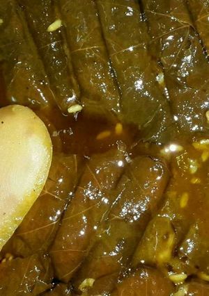 صورة لوصفة ورق دوالي