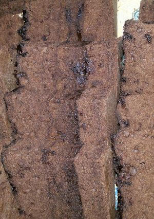 Foto resep Chocolate brownie steam