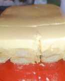 Flan con vainillas