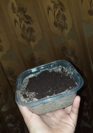 Foto resep Ice cream Oreo