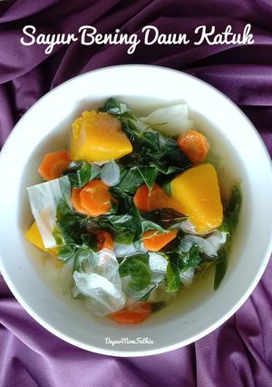 Foto resep Sayur Bening Daun Katuk