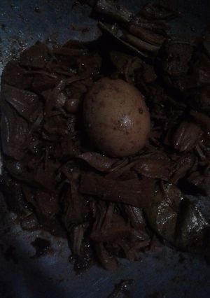 Foto resep Gudeg sederhana