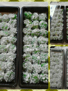Foto resep Klepon cepluss yummy😄😄