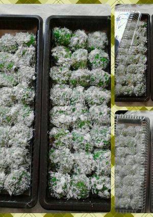 Foto resep Klepon cepluss yummy😄😄