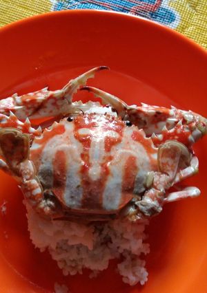 Foto resep Sup rajungan