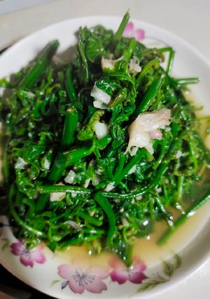 Hình của món Rau dớn xào tỏi.