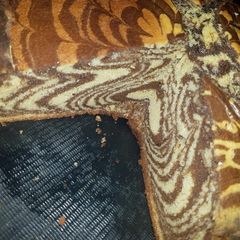 A picture of Zebra cake.